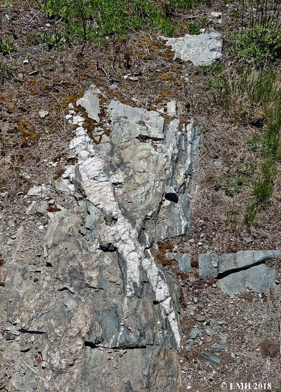 P20-sausage-shaped boudin