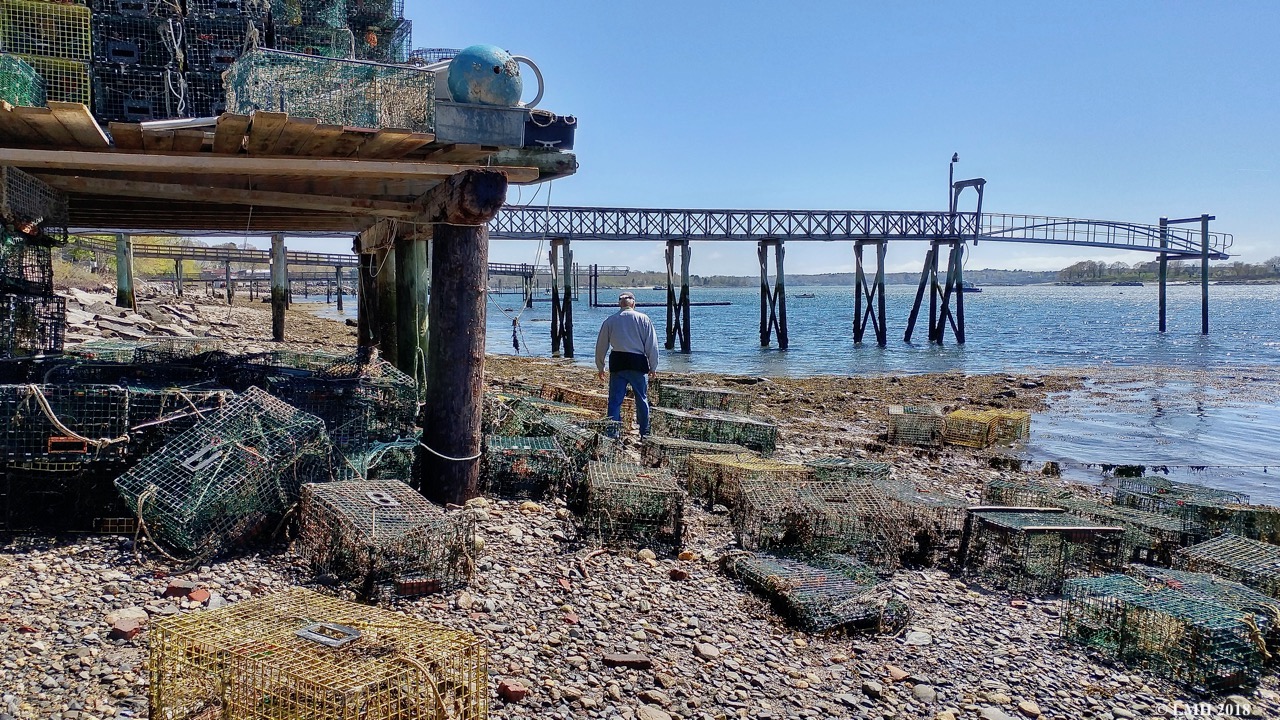 P33-LOBSTER TRAP MAZE