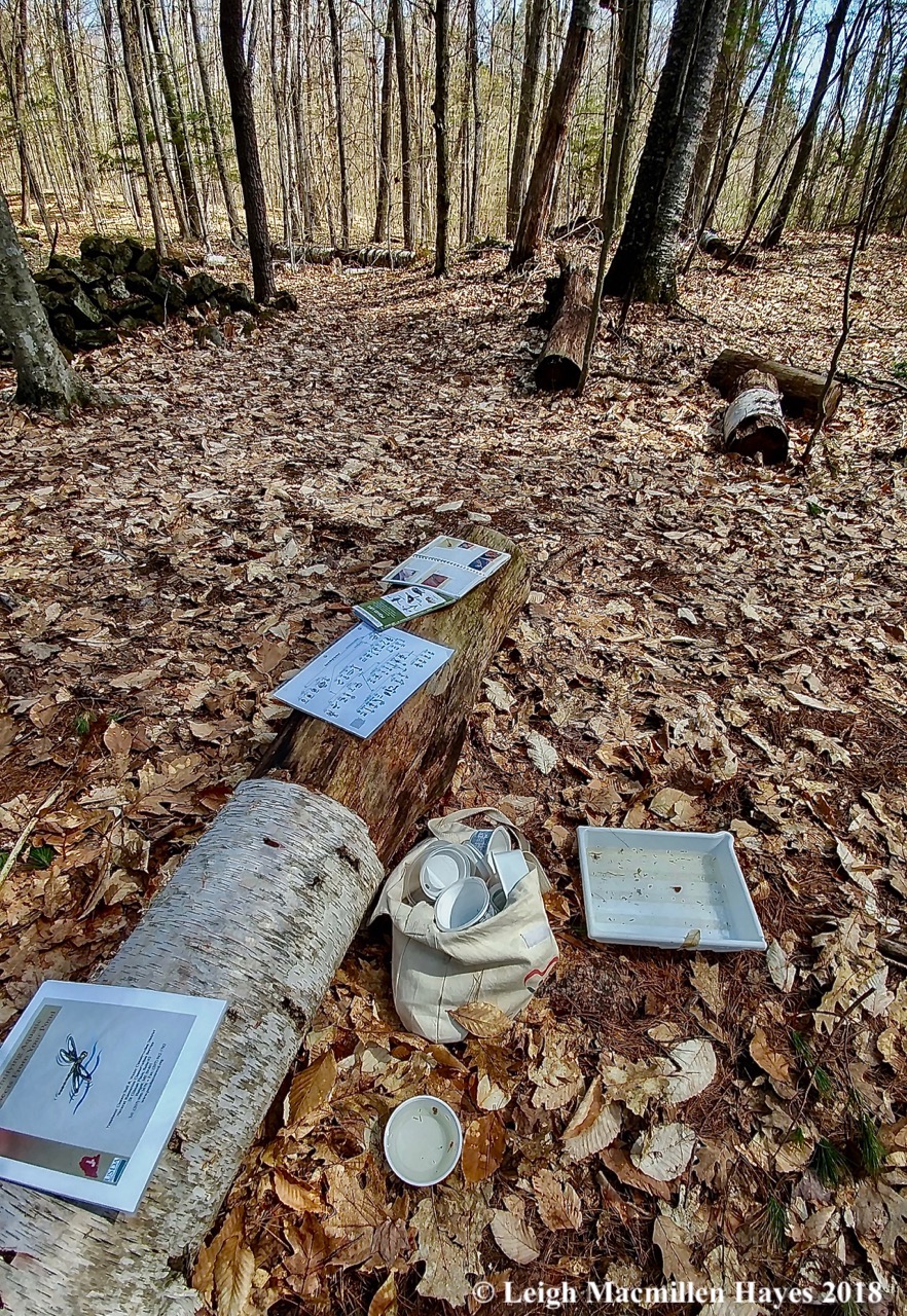 s10a-setting up camp