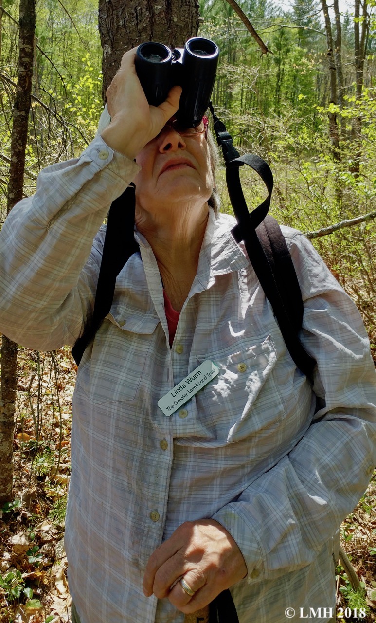 S15-LINDA TURNS HER FOCUS UPWARD