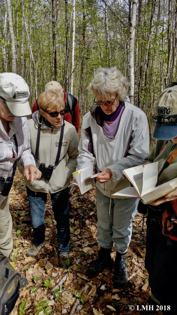 S4-WILDFLOWER GUIDES