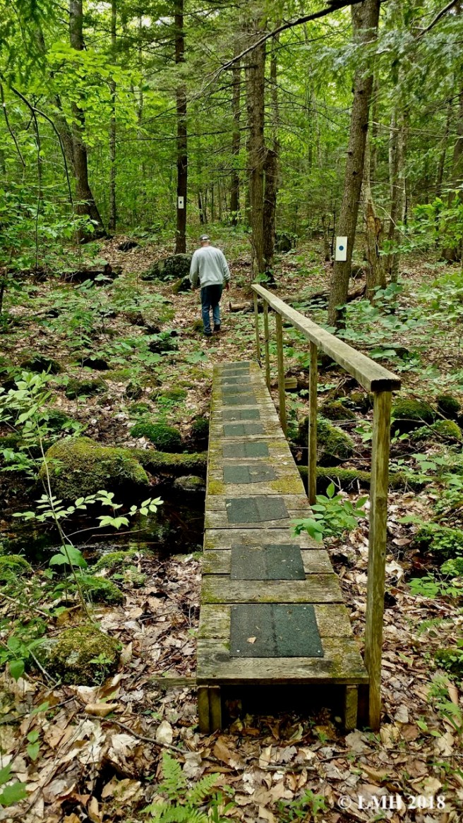 Y12-1ST BRIDGE CROSSING