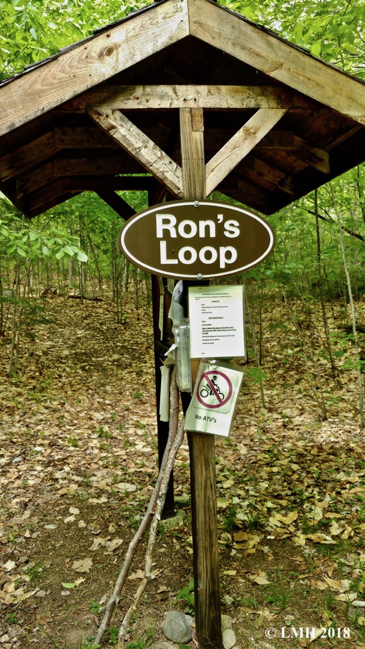 Y7-RON'S LOOP KIOSK