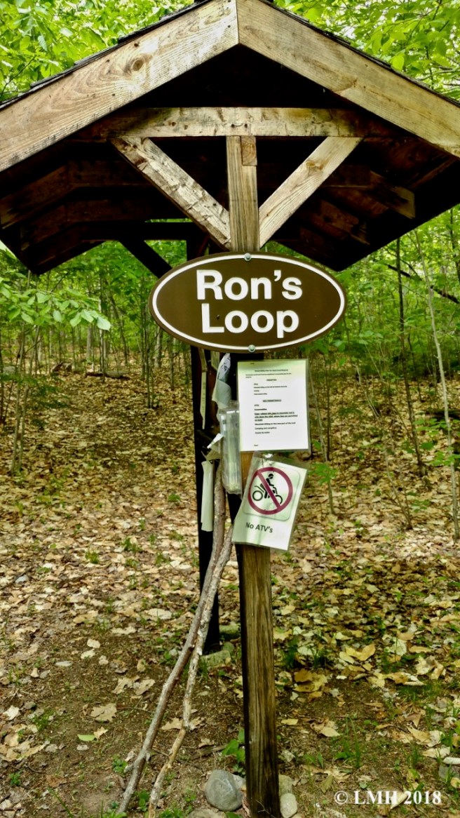 Y7-RON'S LOOP KIOSK