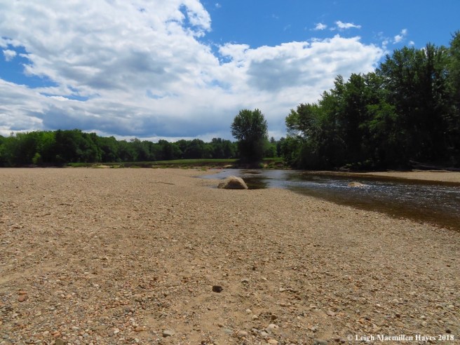 d4-Saco River