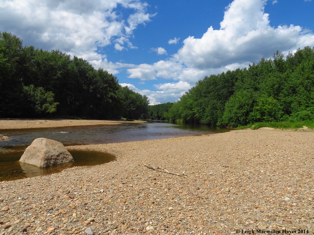 d5-Saco River