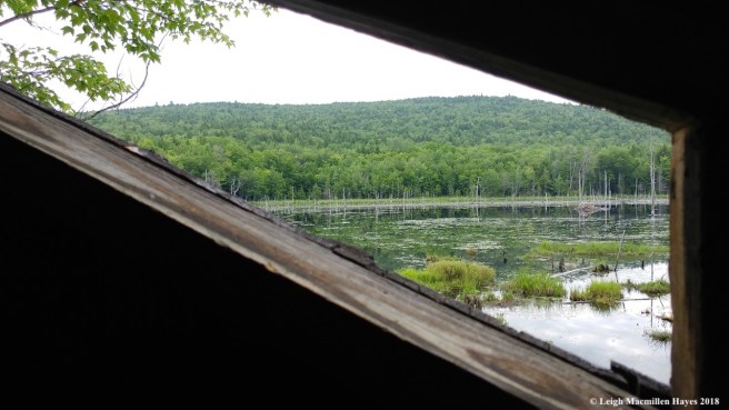 d6-view from the blind