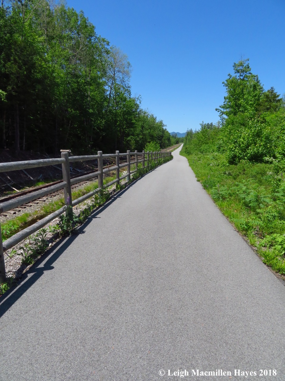 m6-Mtn Division Trail