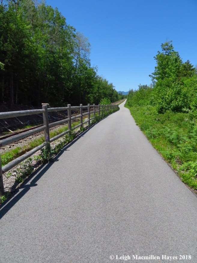 m6-Mtn Division Trail