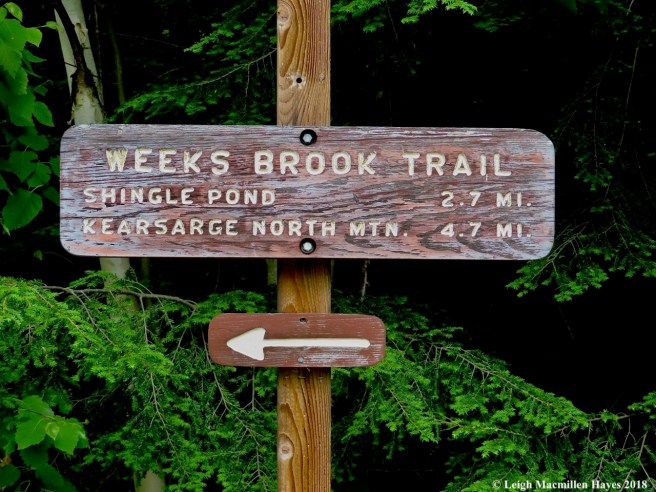 s1-trail sign