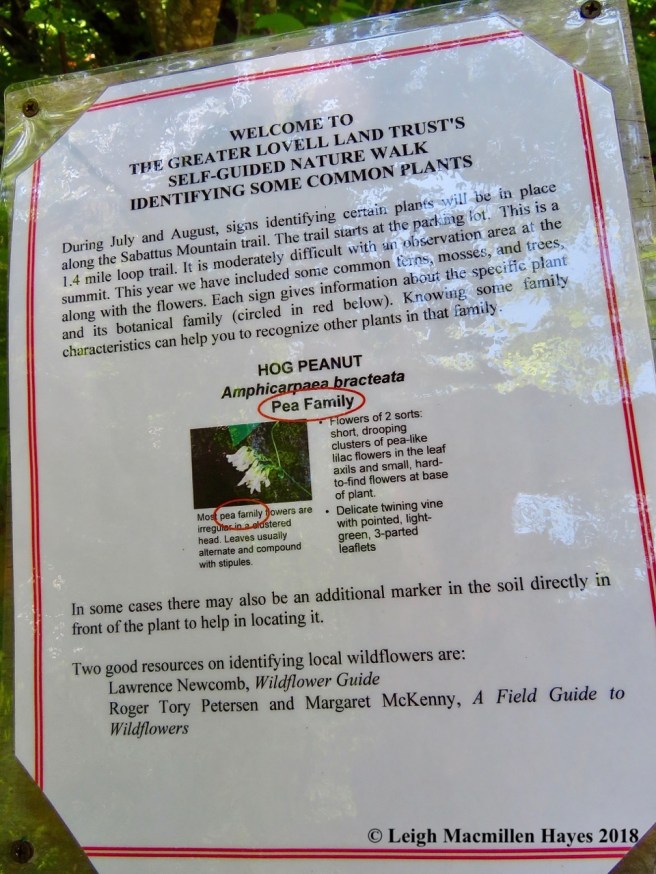 s2-self-guided nature walk