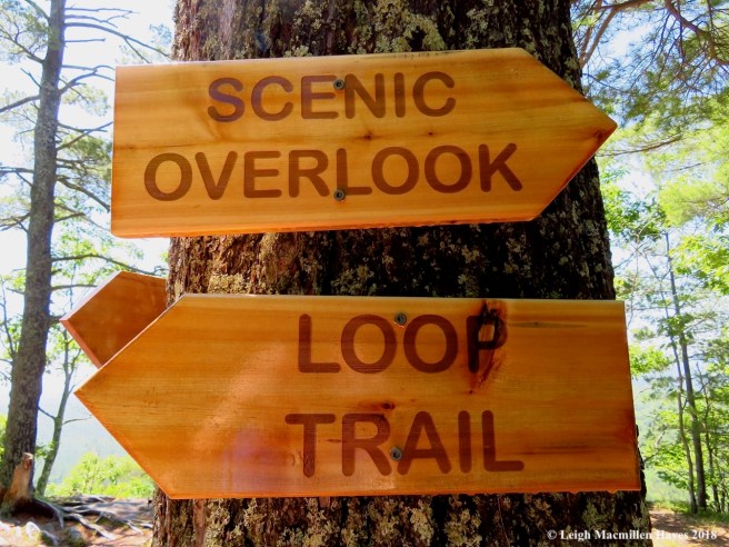 s20-main summit signs