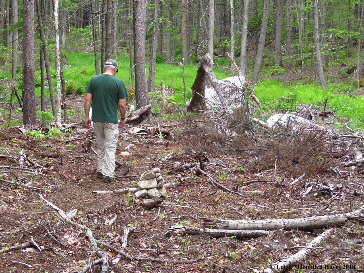 s8-locating the trail