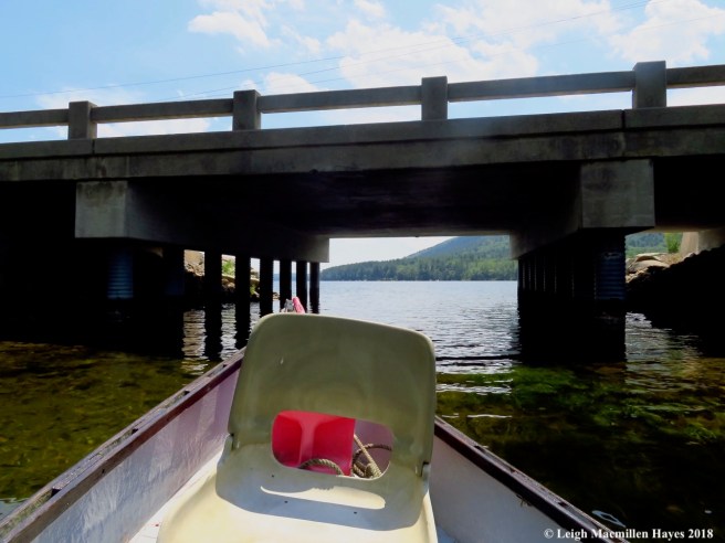c11-under Route 302 Causeway