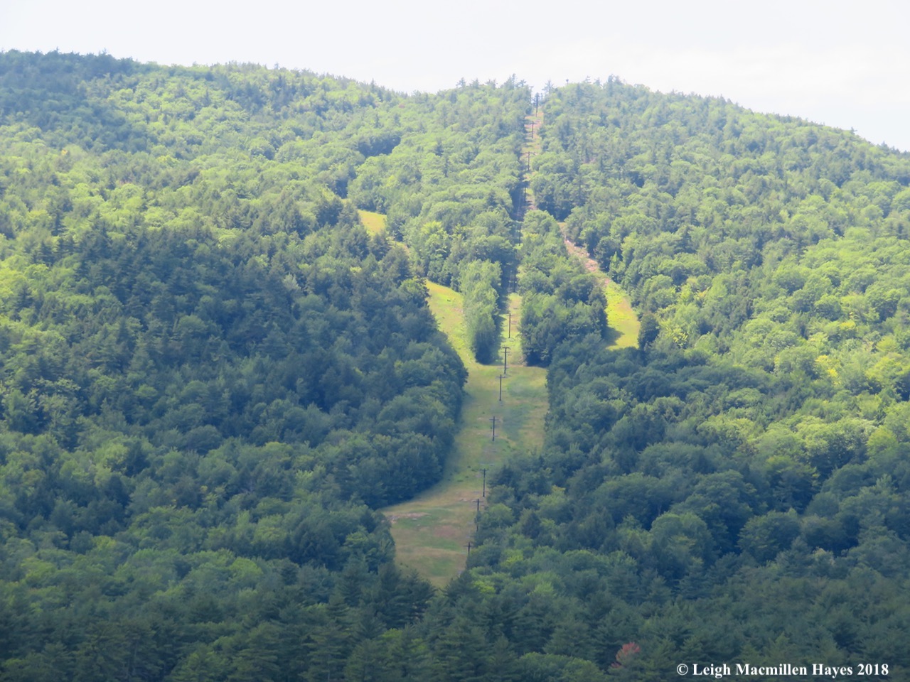 c16-East Ski Area-lobster