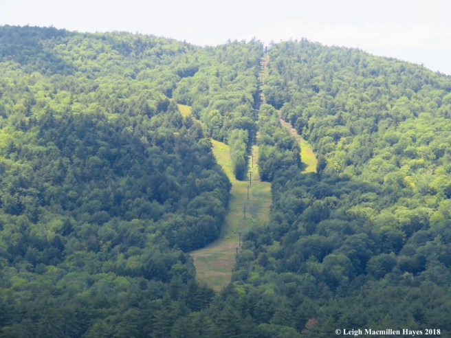 c16-East Ski Area-lobster