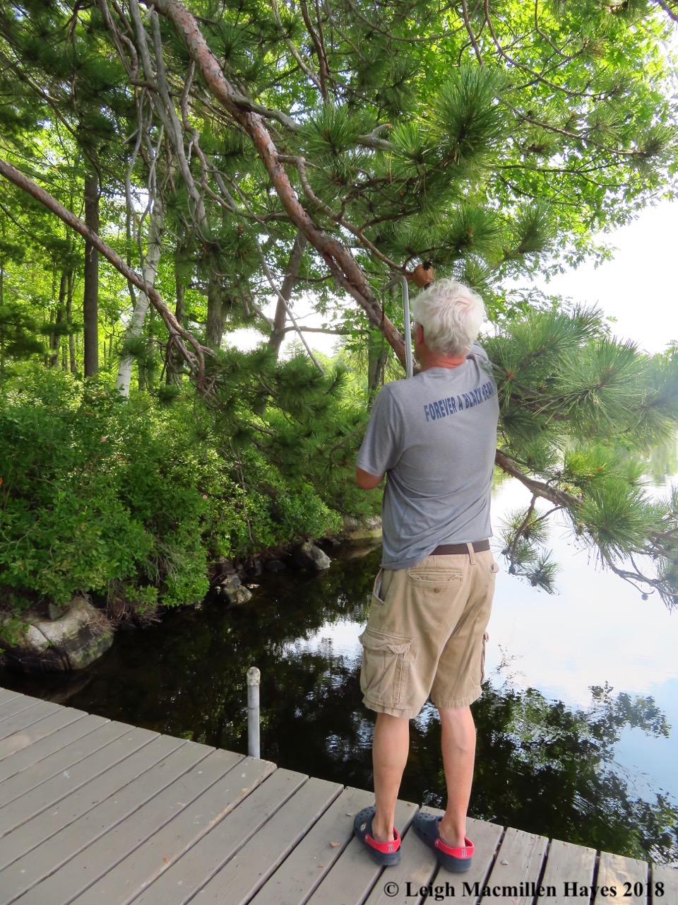 c4-trimming a branch