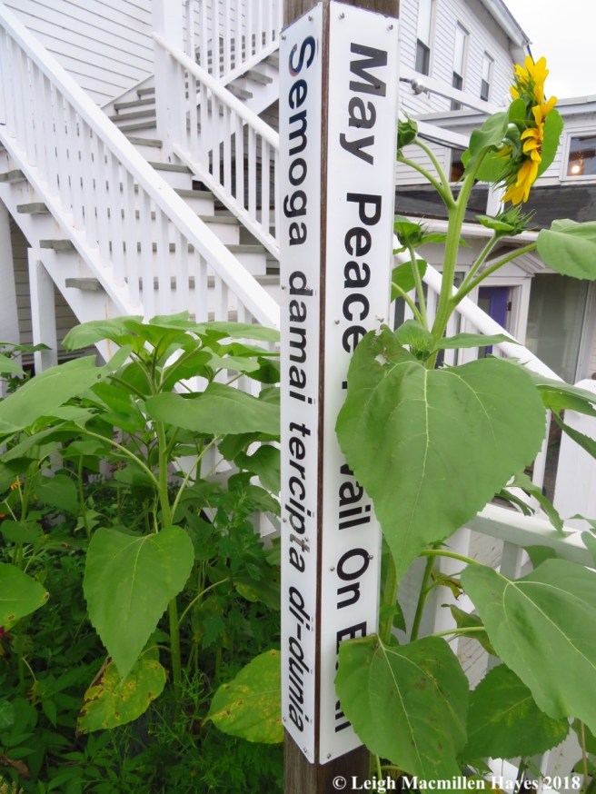 w13-signs about town