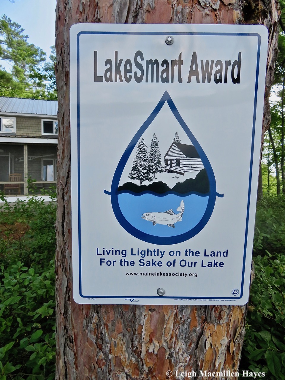 1-lakesmart award