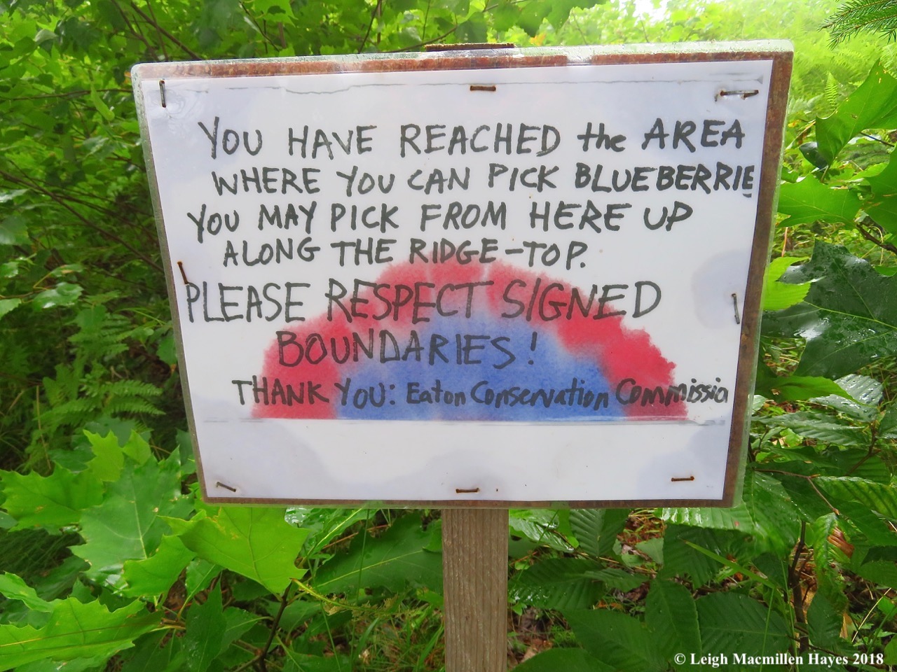 10-pick blueberries sign