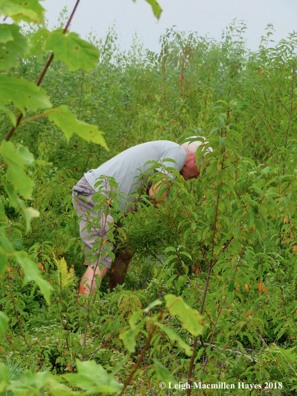 11-my guy disappeared ;-)