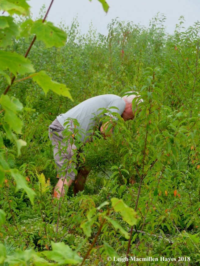 11-my guy disappeared ;-)