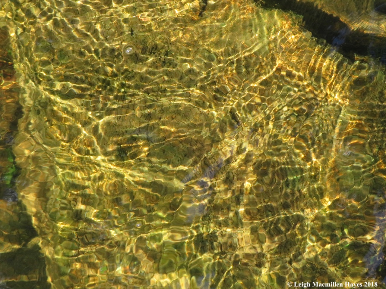 14a-water pattern over rock