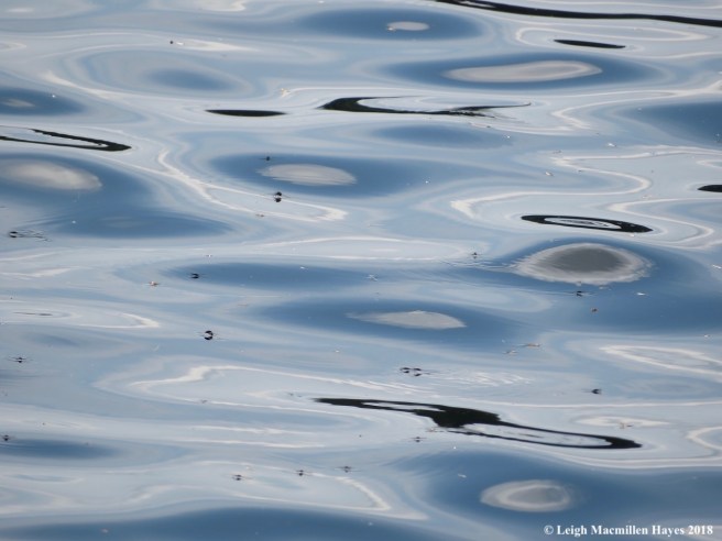 15-wave:sky patterns