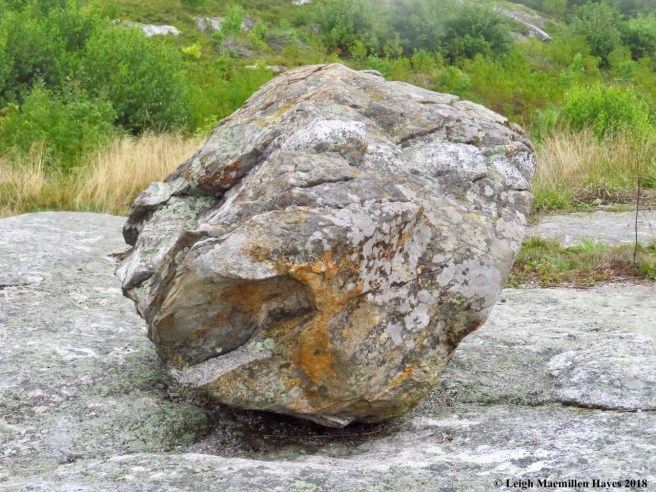 16-more colorful eratic