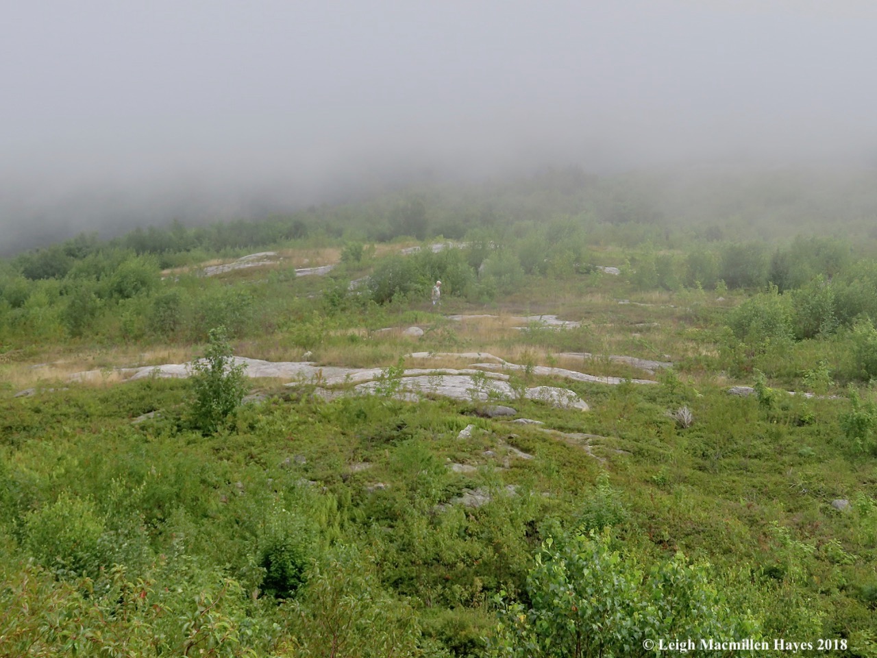 19-my guy picked some more