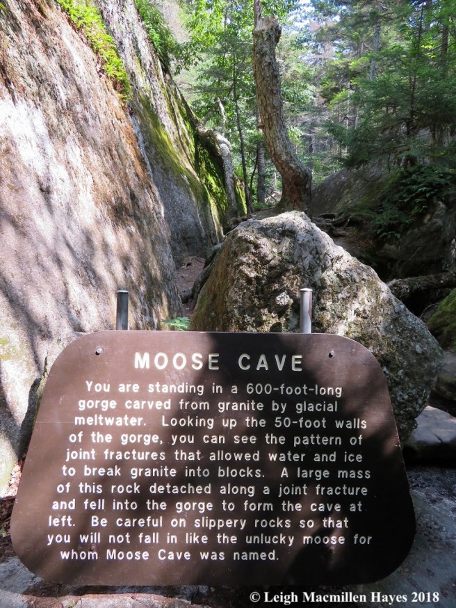 23-Moose Cave