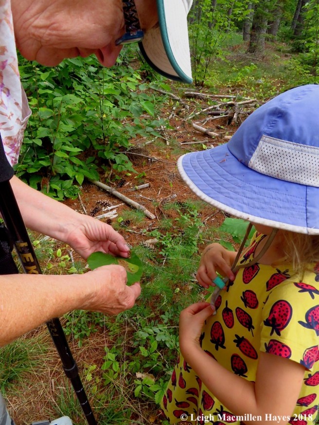 7-grandma and granddaughter