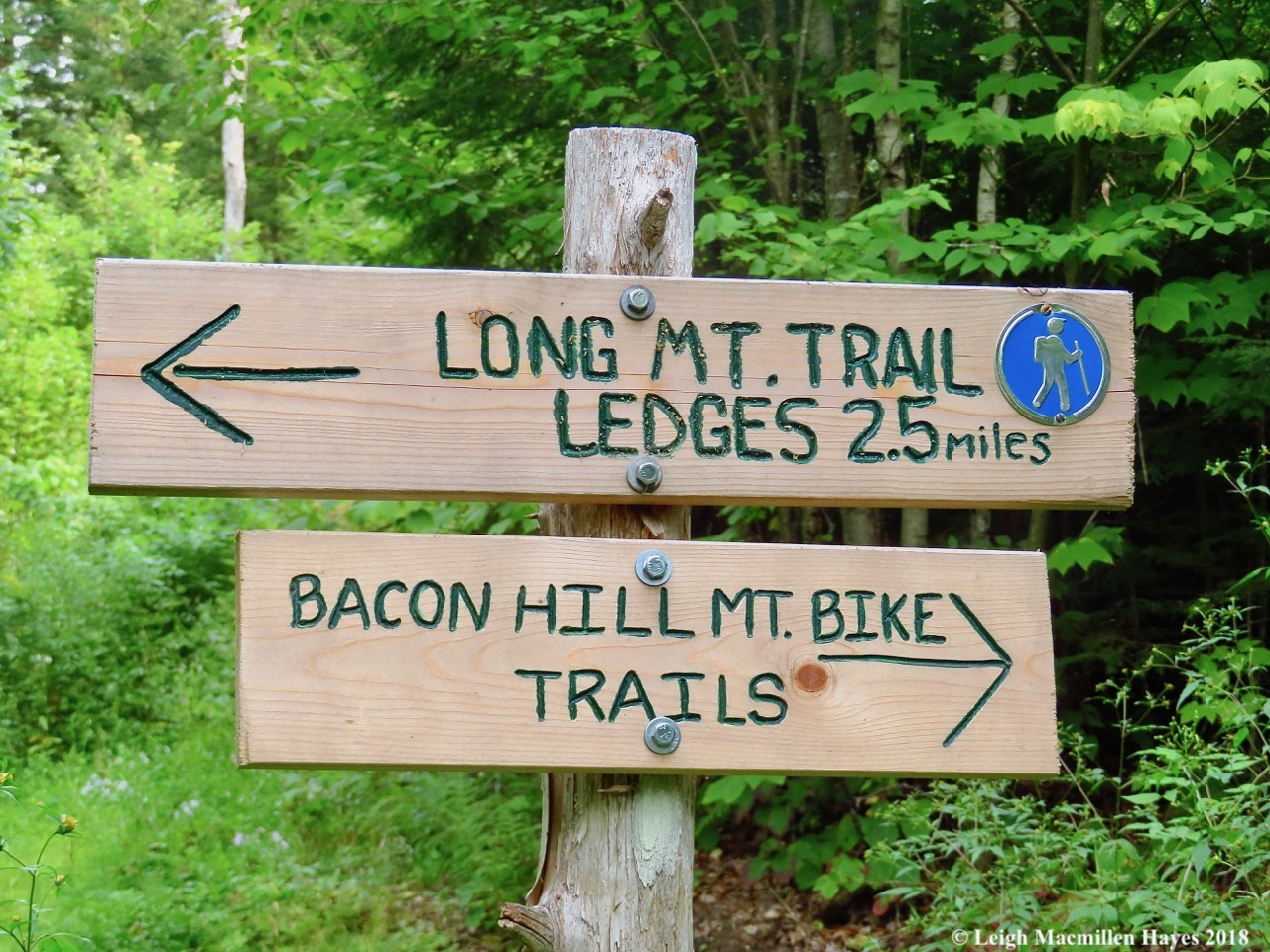 1-Long Mtn Trail