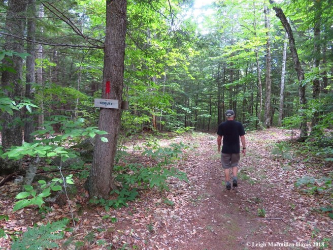 12-Crossing the line