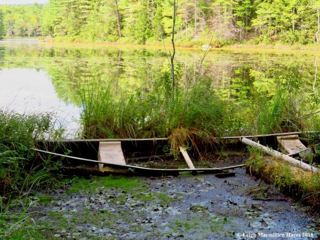 14-if this canoe could talk