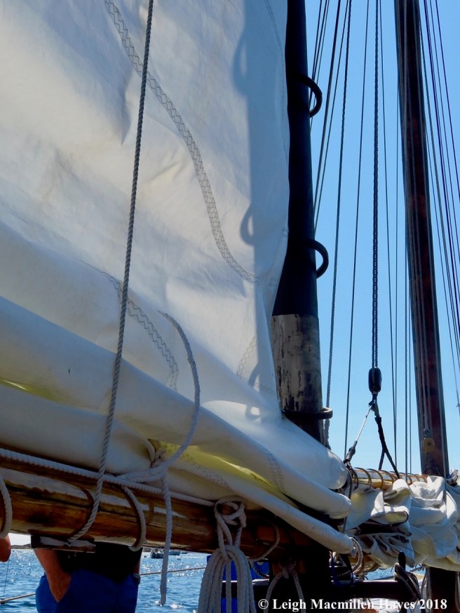 23-sails coming down