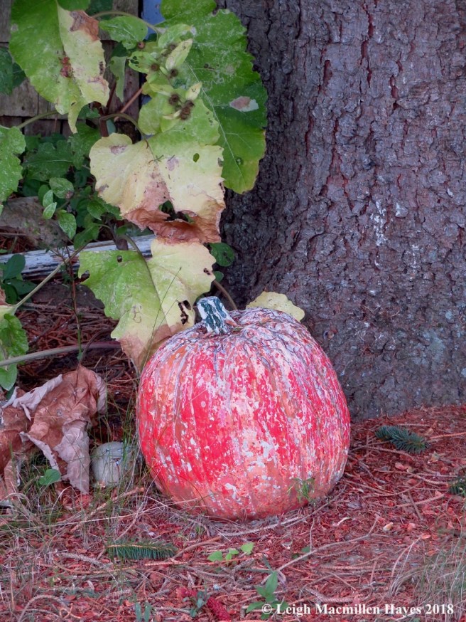 32-head start on Halloween