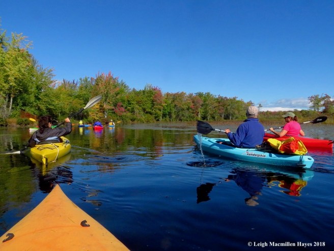 4-onto the old course