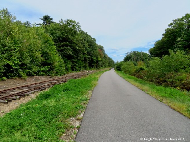 4-rail trail