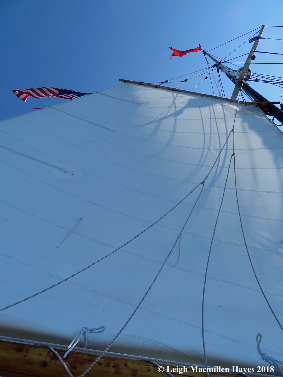 5-we raised the mainsail