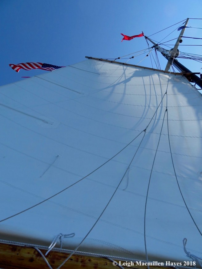 5-we raised the mainsail