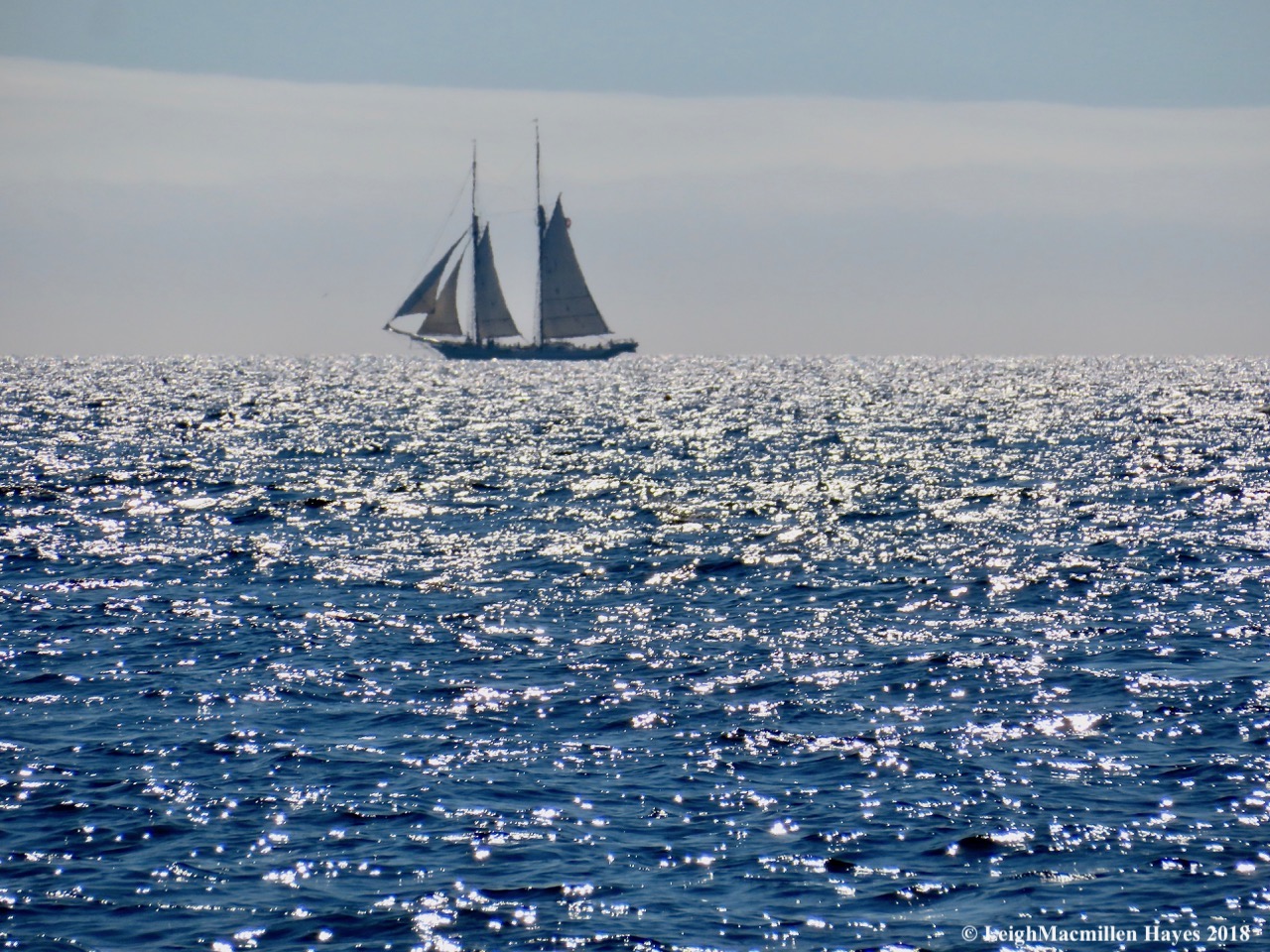 9-ghost ship on the horizon