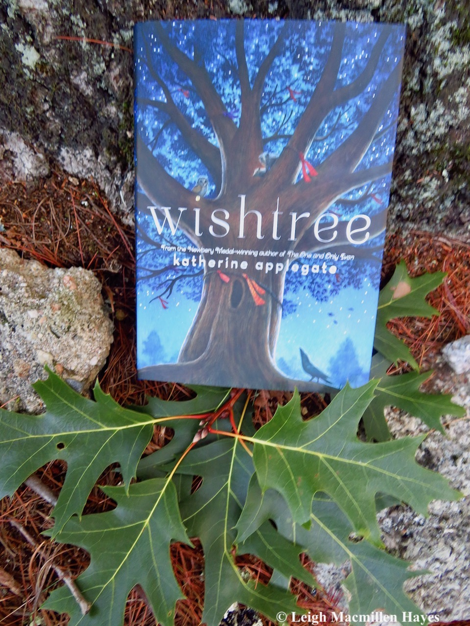 wishtree