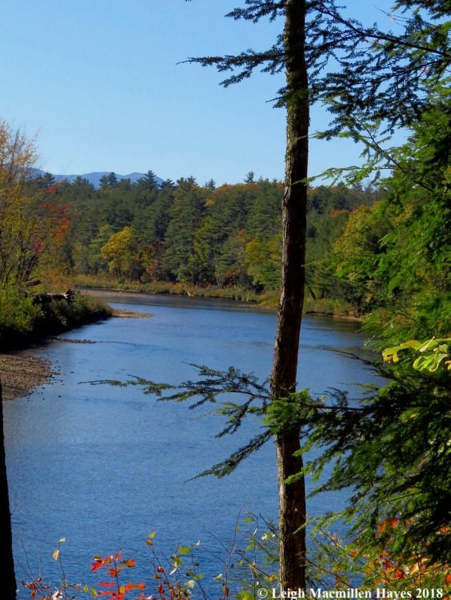11-Saco River with Moat Mountains in background