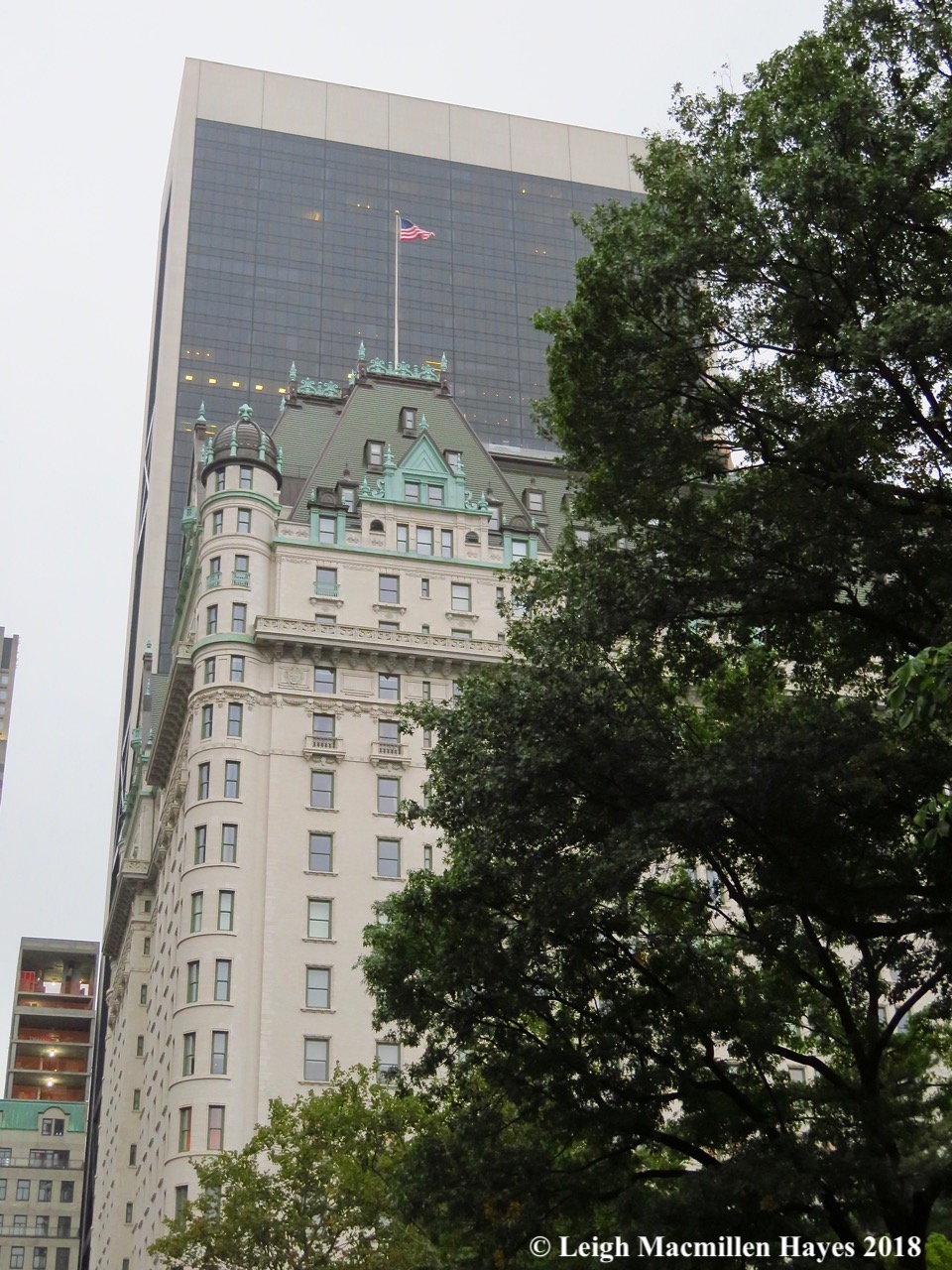 11-view from Central Park