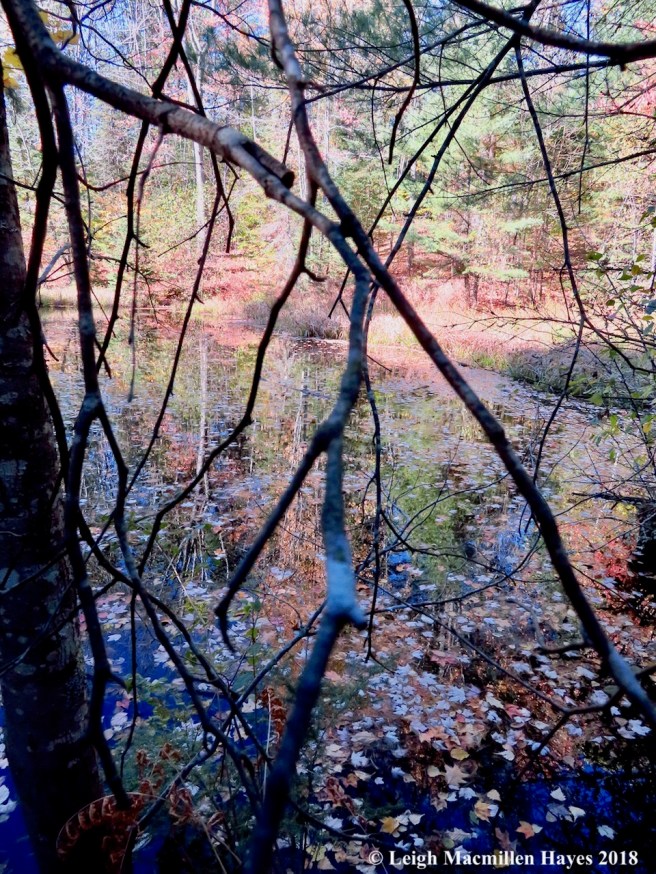 12-small pond stained glass window