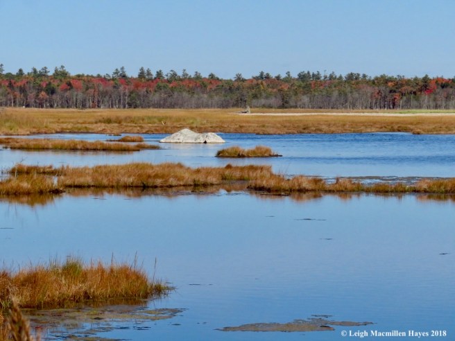 14-Barrier Beach Trail