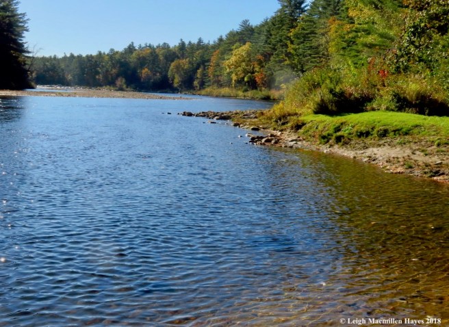 14-turn around trespass