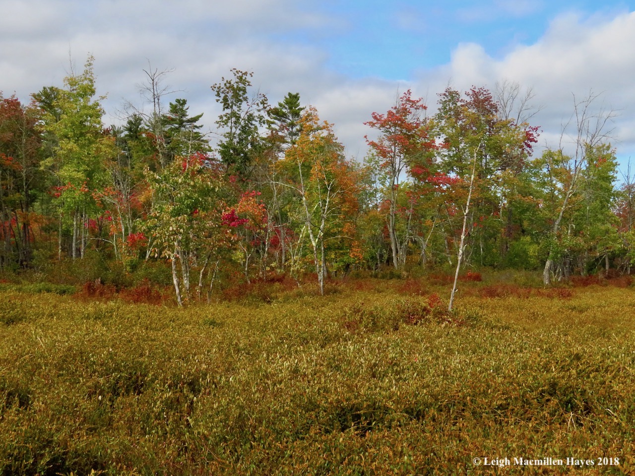 15-October colors layered