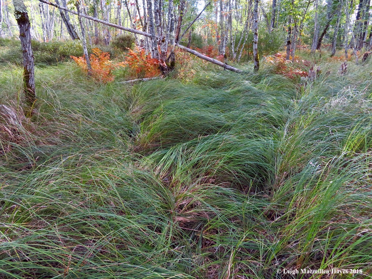 17-finding my way out